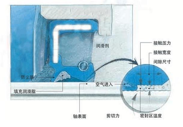 油封(密封件密封圈)密封唇口與旋轉軸表面接觸區(qū)4 油封(密封件密封圈)密封唇口與旋轉軸表面接觸區(qū)4