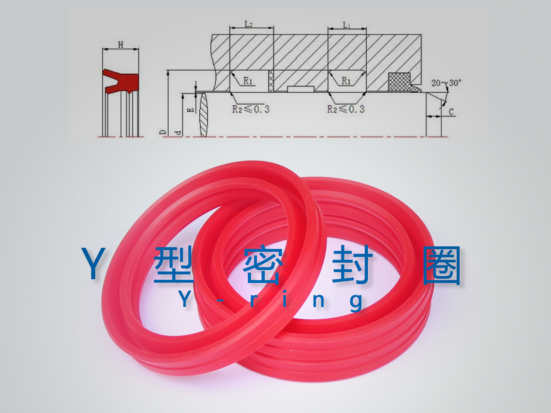 Y型密封圈（密封件、油封）與截面結(jié)構(gòu)產(chǎn)品圖