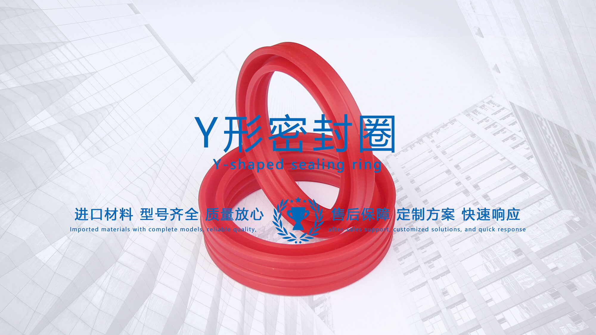 y型密封圈（又Y形密封圈，Y形圈，Y型圖或唇形密封圈，密封件油封膜片） (3)
